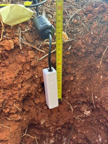 Terra Viva Ibiza — Capteur de sol